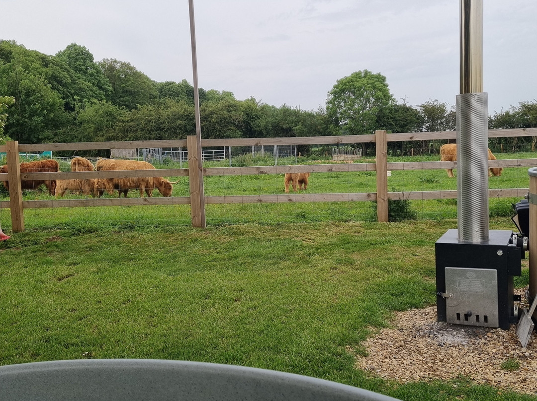 The Barnsdale, Rutland主图