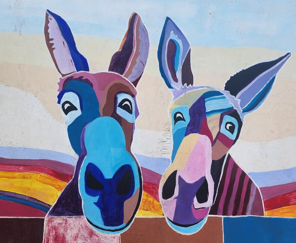 Agia Marina Donkey Rescue Sanctuary-Petrokefali必去景点