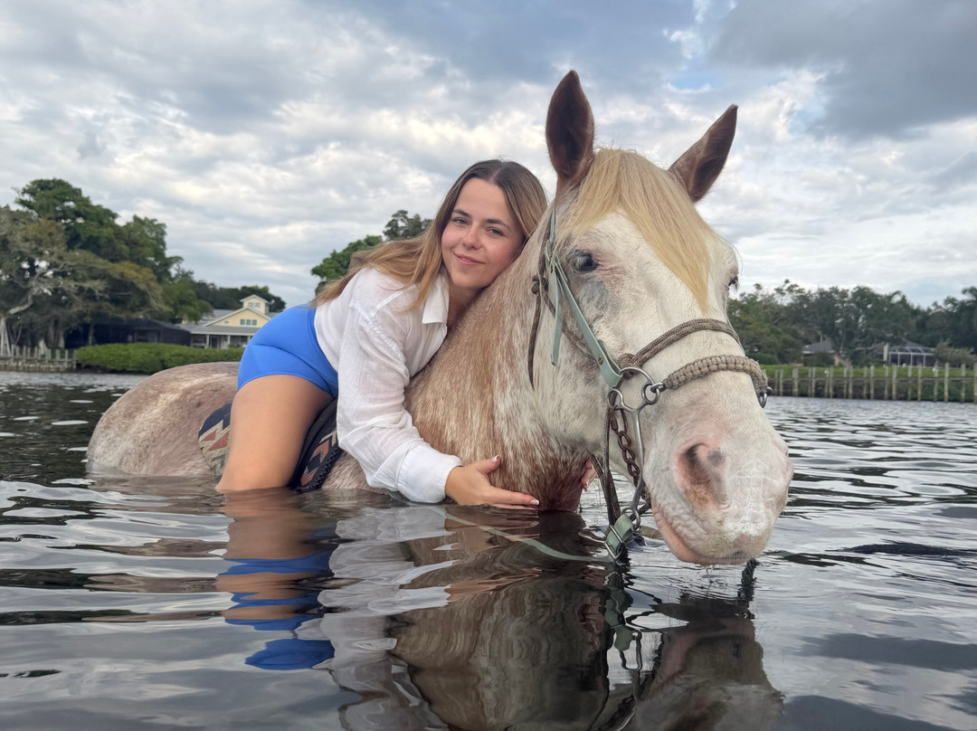 Florida Beach Horses-布雷登顿必去景点