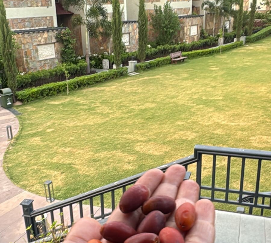 Sarasiruham度假村私人泳池别墅主图