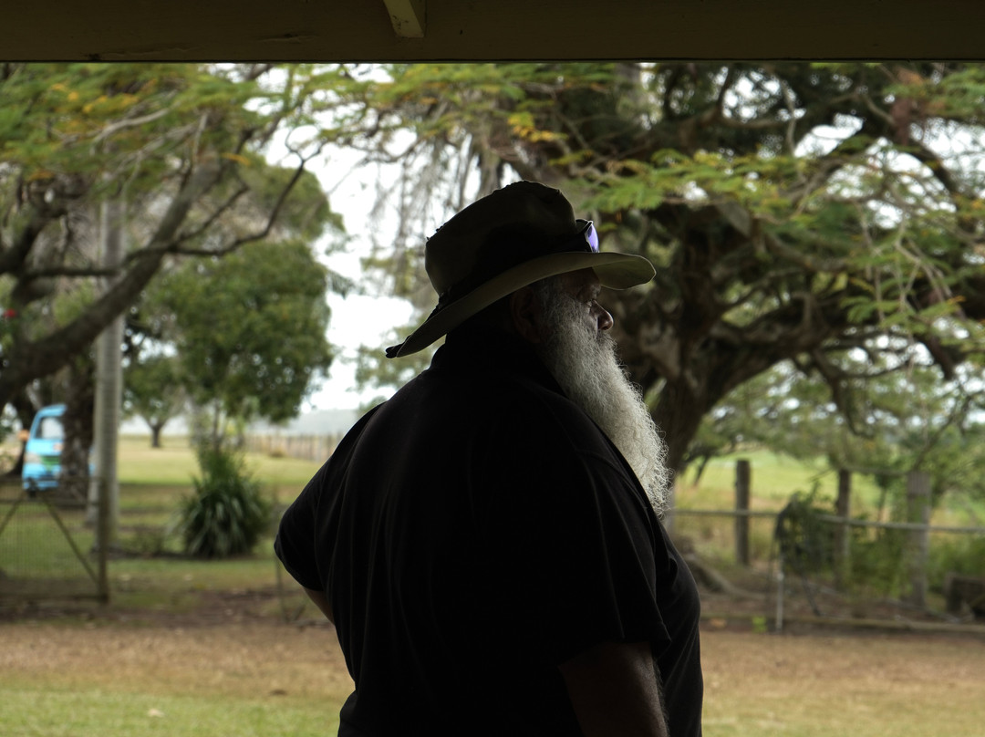 Mungalla Aboriginal Tours-Ingham必去景点