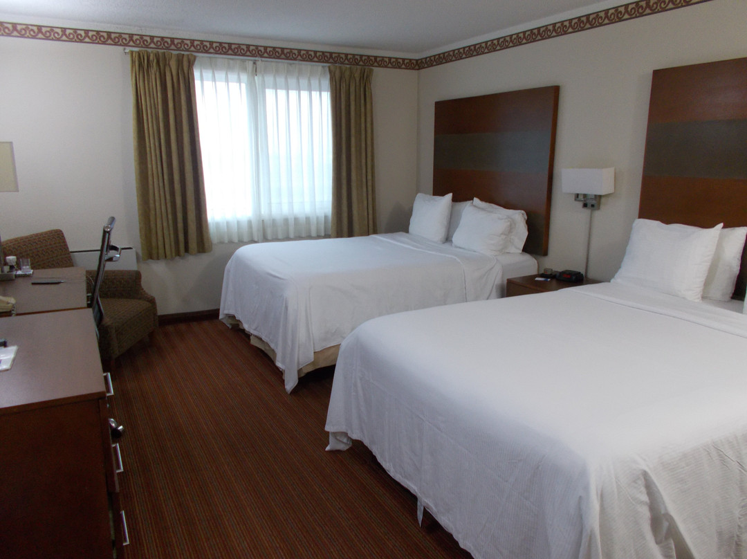布兰登酒店住宿-Lakeview Inns & Suites - Brandon