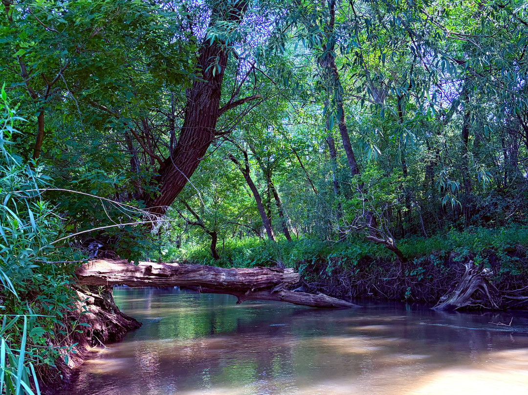 Plum Creek-Walnut Grove必去景点