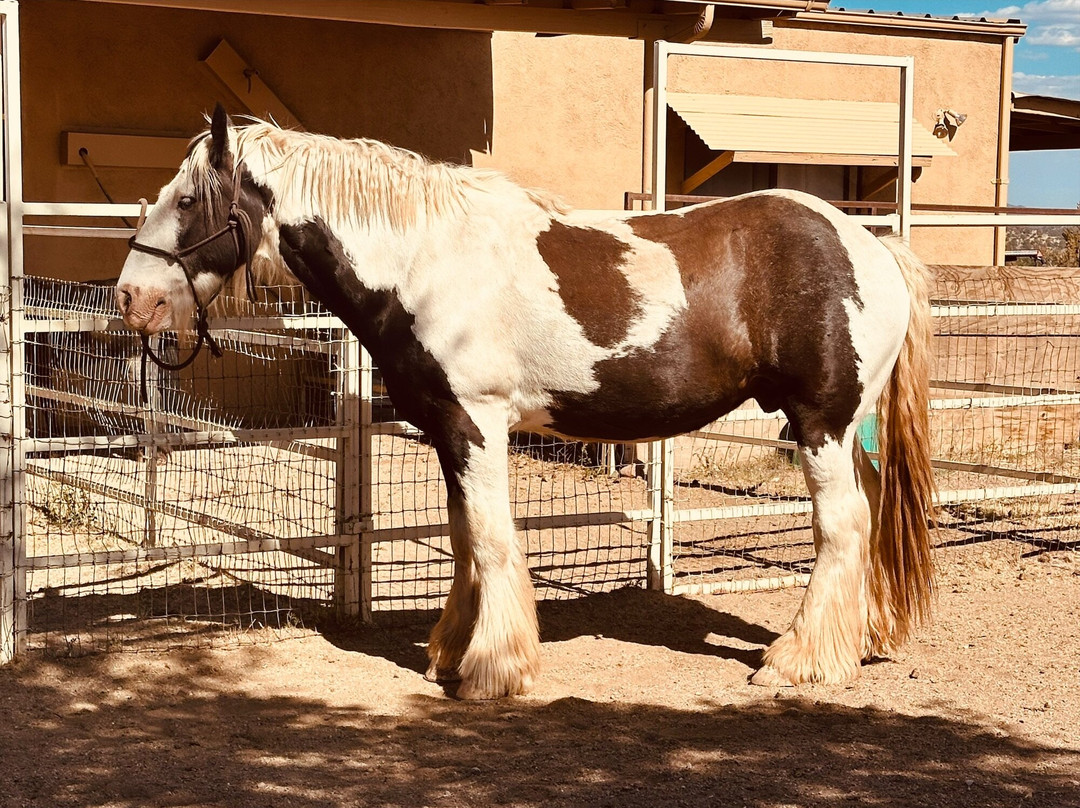 Double R Guest Ranch