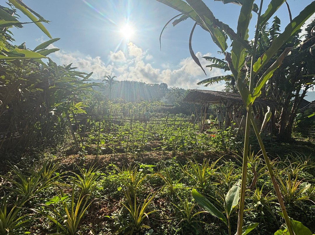 Anandinii Organic Garden & Kitchen-席德门必去景点