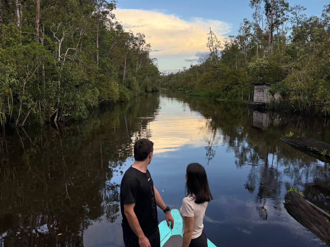Borneo Eco Tour-Pangkalan Bun必去景点