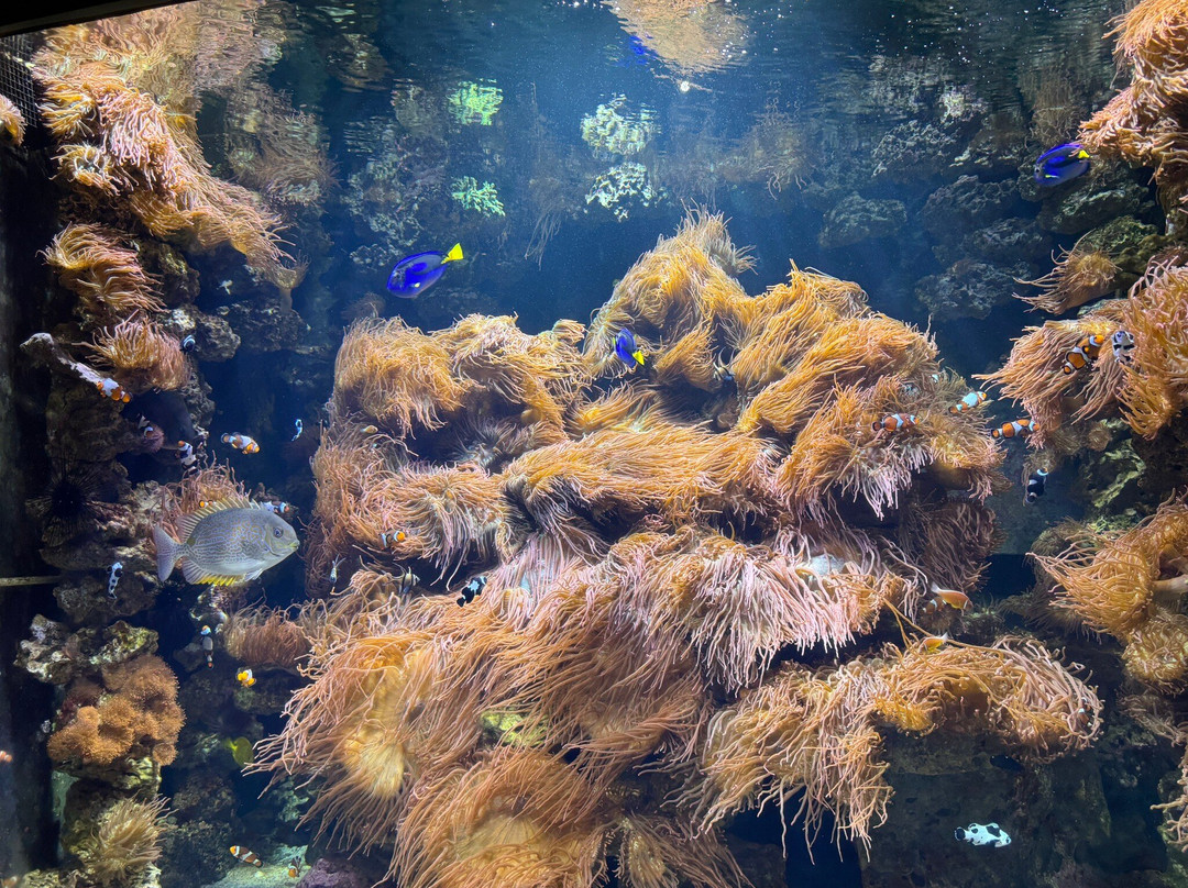 Long Island Aquarium-Riverhead必去景点