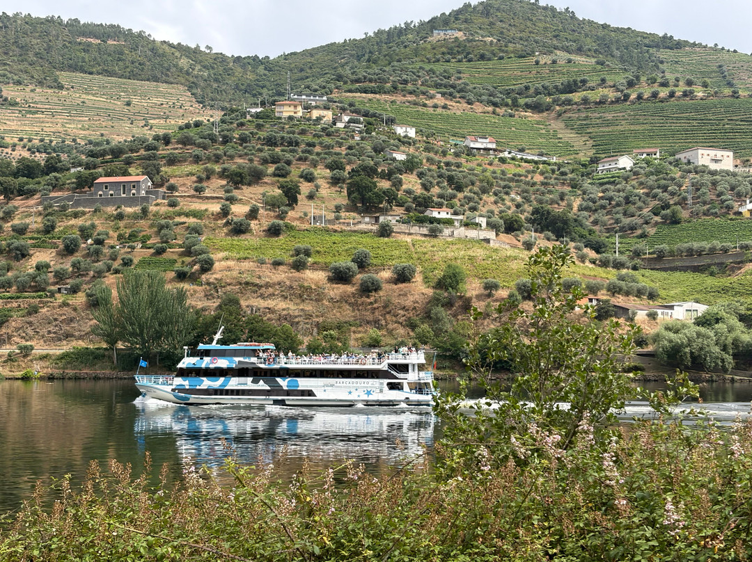 Quinta do Bomfim-Pinhao必去景点