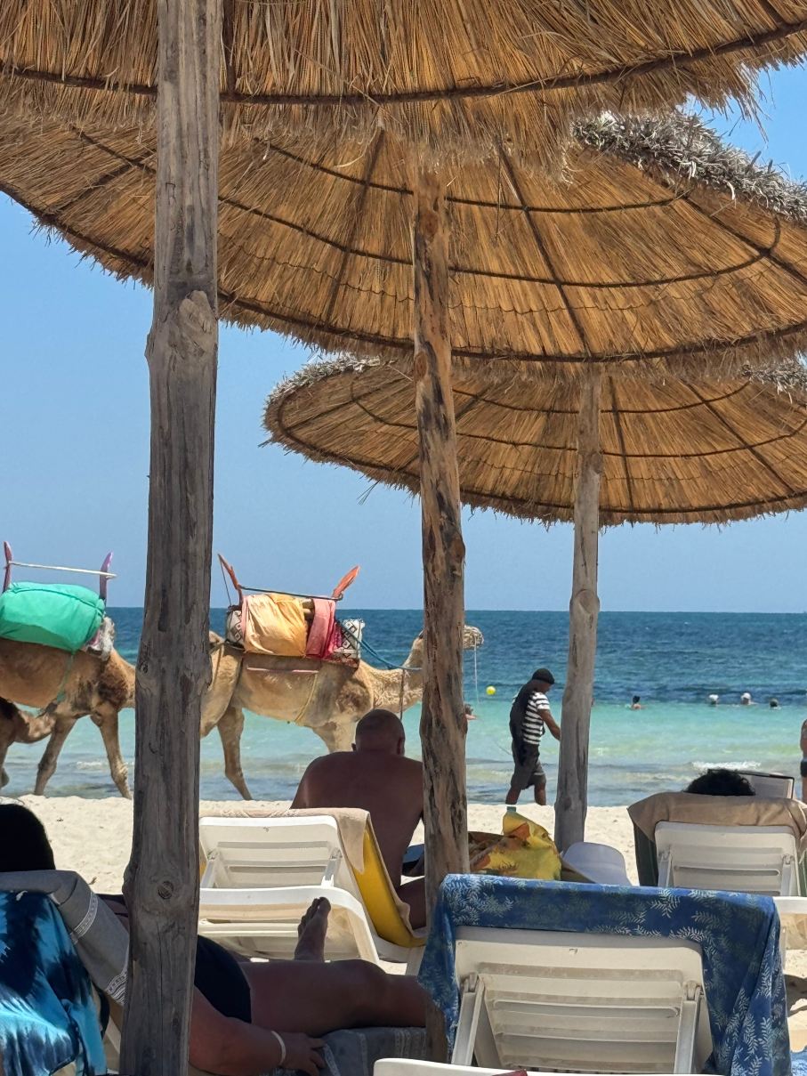 Télémaque Beach & Spa-旅行者