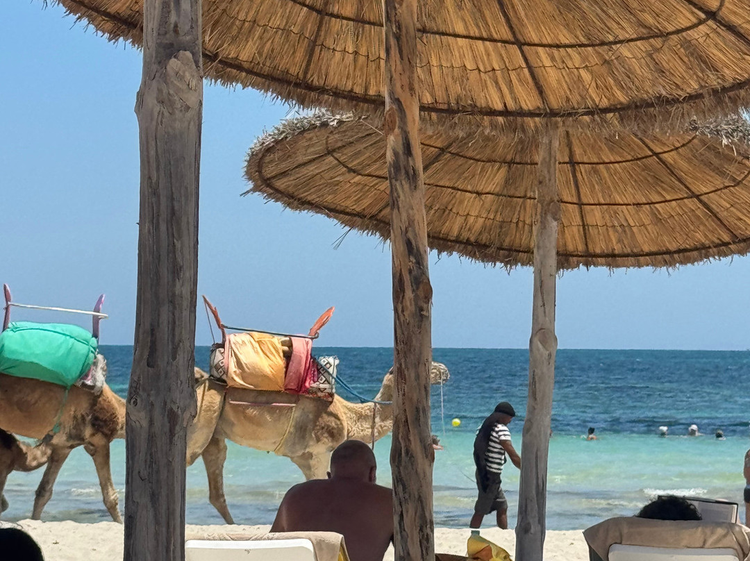 Télémaque Beach & Spa主图