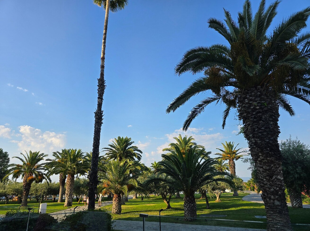 Kassandra Palace 海滨度假村主图