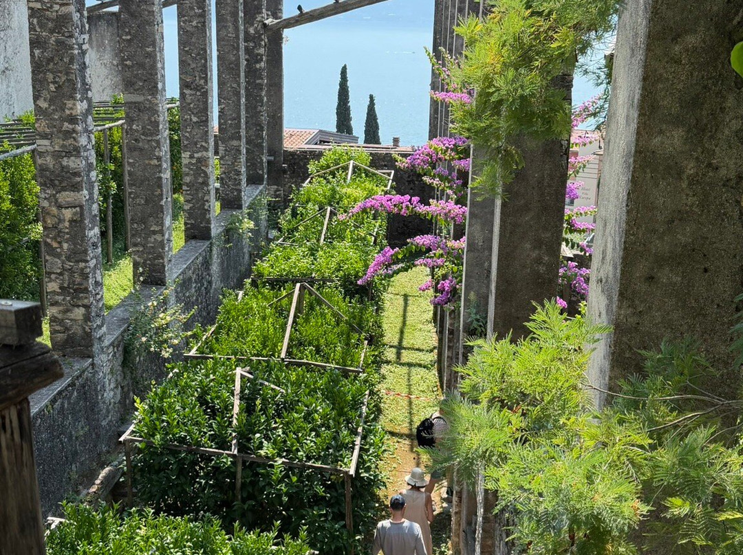 Hotel Gardenia Al Lago主图