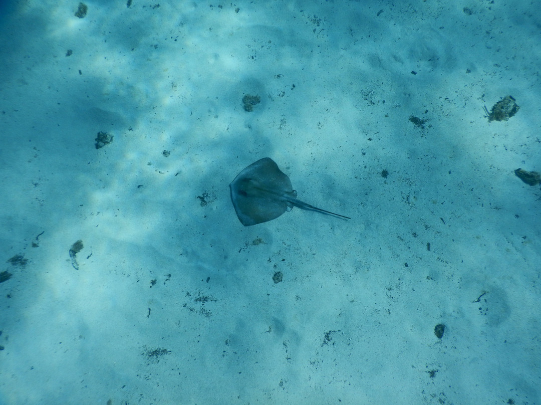 Blue Islands Diving-米诺卡必去景点