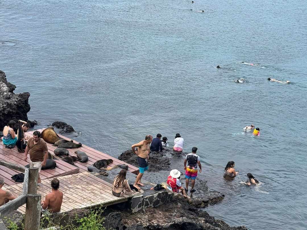 Cerro Tijeretas-Puerto Baquerizo Moreno必去景点