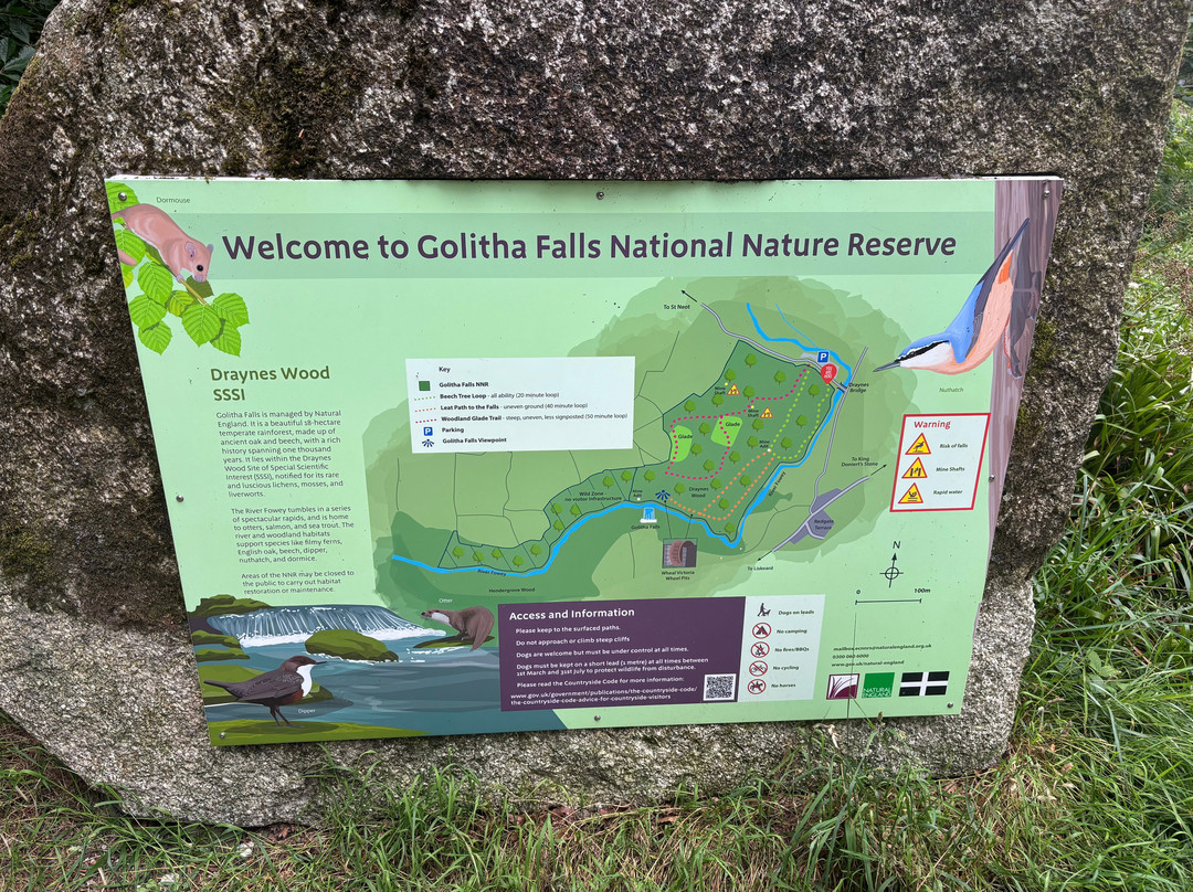 Golitha Falls-利斯卡德必去景点
