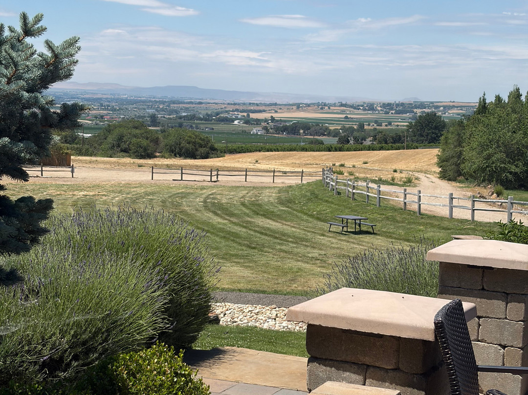 Sawtooth Winery-楠帕必去景点