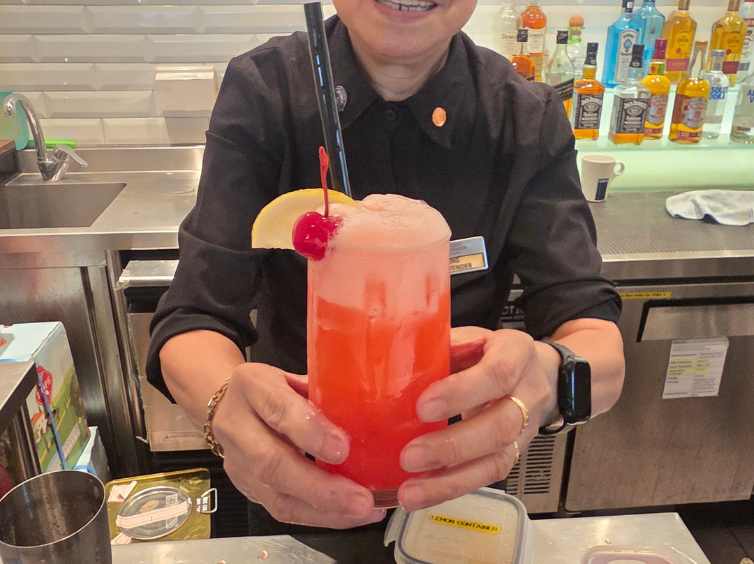 Plaza Premium Lounge (International Departures, Terminal 1)-新加坡必去景点