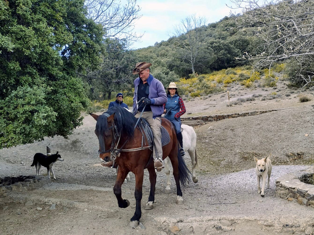Riding Andalucia-布维翁必去景点