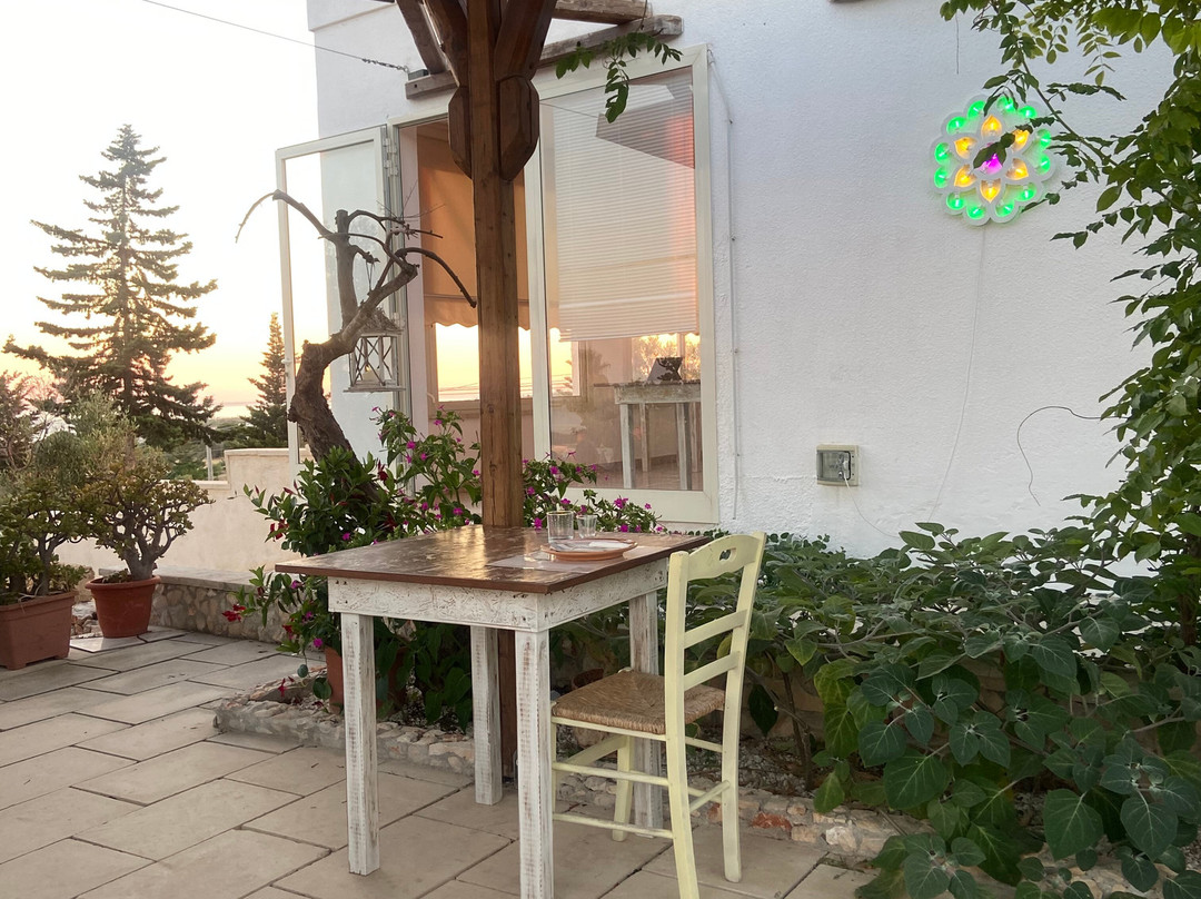 Anticarealtà Homerestaurant