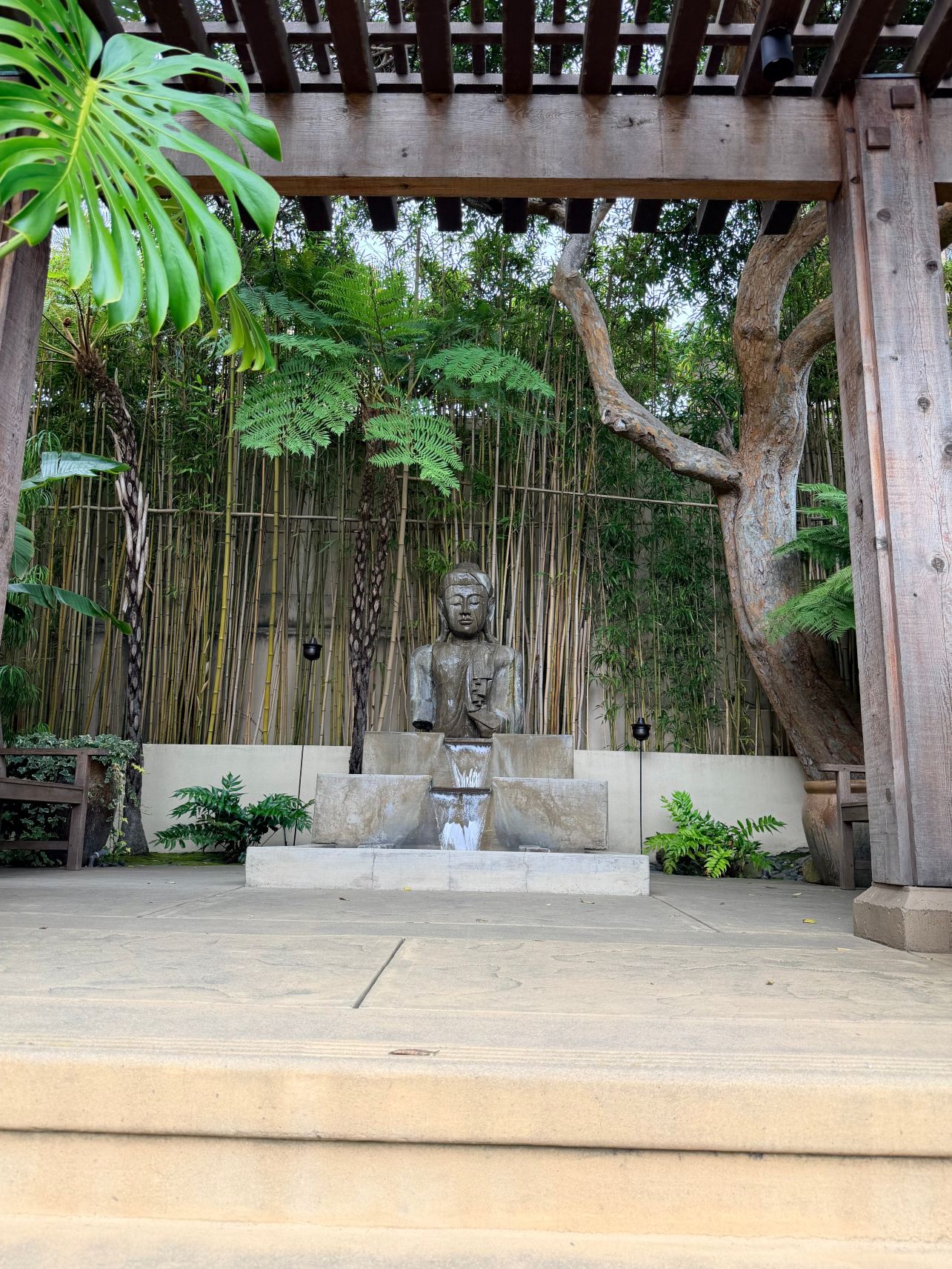 贸易风卡梅尔酒店-旅行者