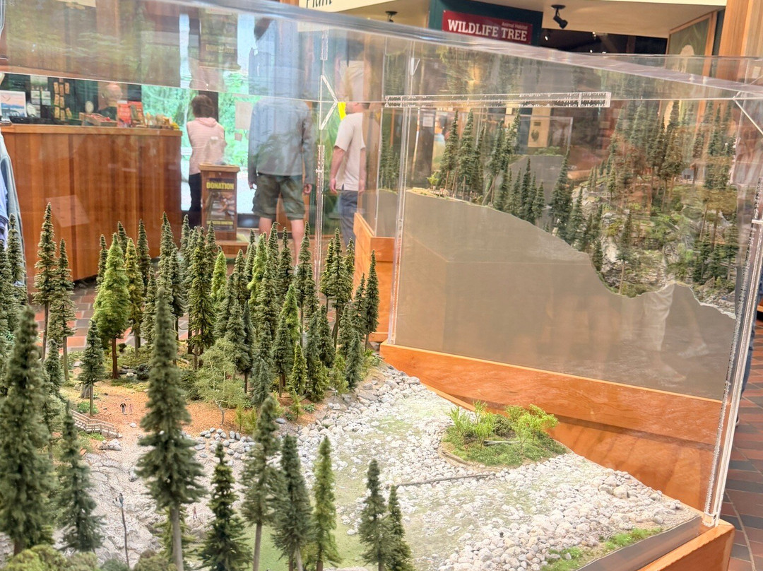 Lynn Canyon Ecology Centre-北温哥华必去景点