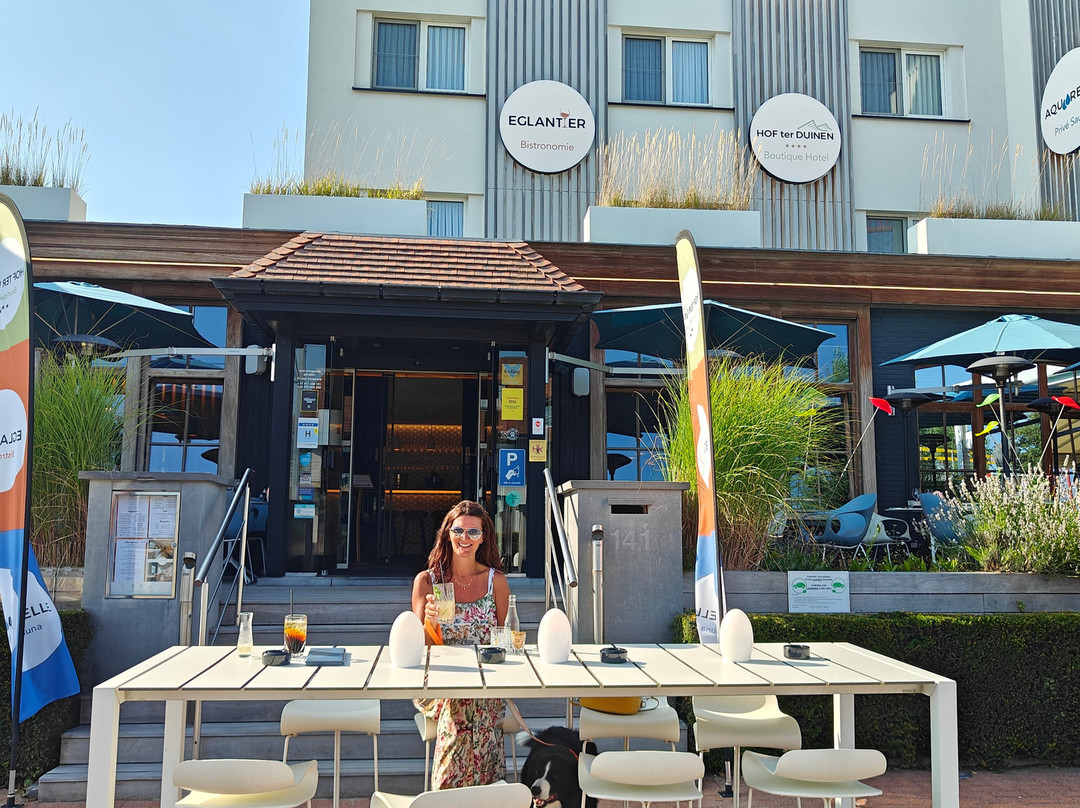Boutique Hotel Hof ter Duinen精品酒店主图