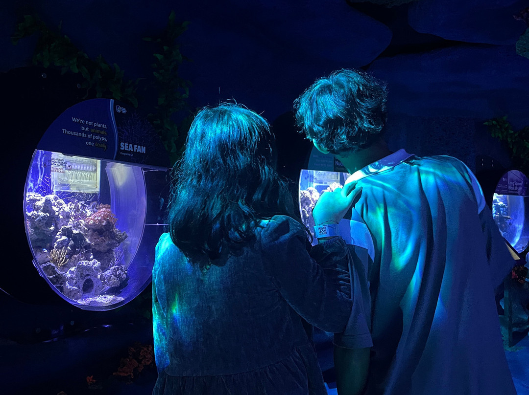 Jakarta Aquarium & Safari-雅加达必去景点