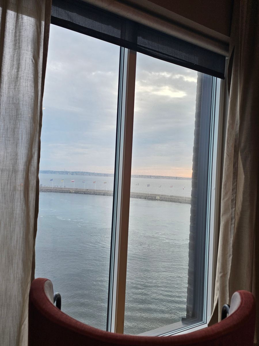 斯堪的纳维亚海港酒店-旅行者