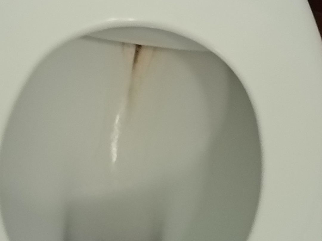 南威盖特公寓式酒店主图
