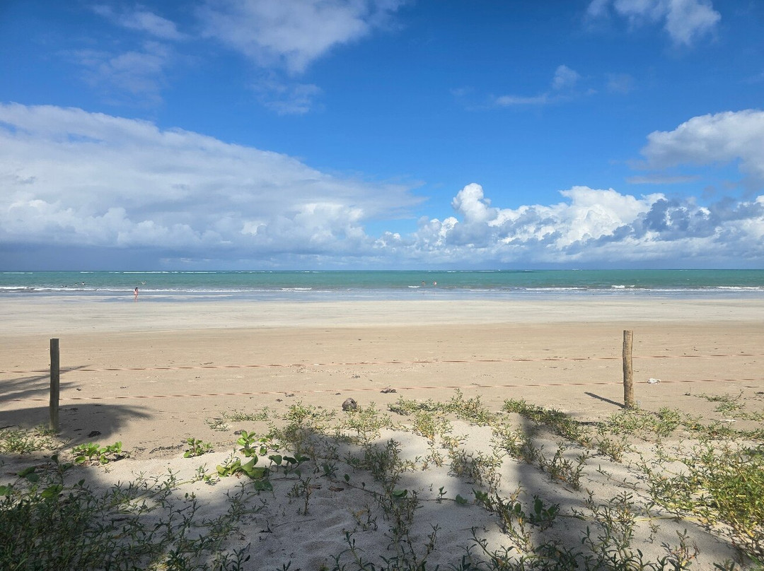 Hibiscus Beach Club-Maceio必去景点
