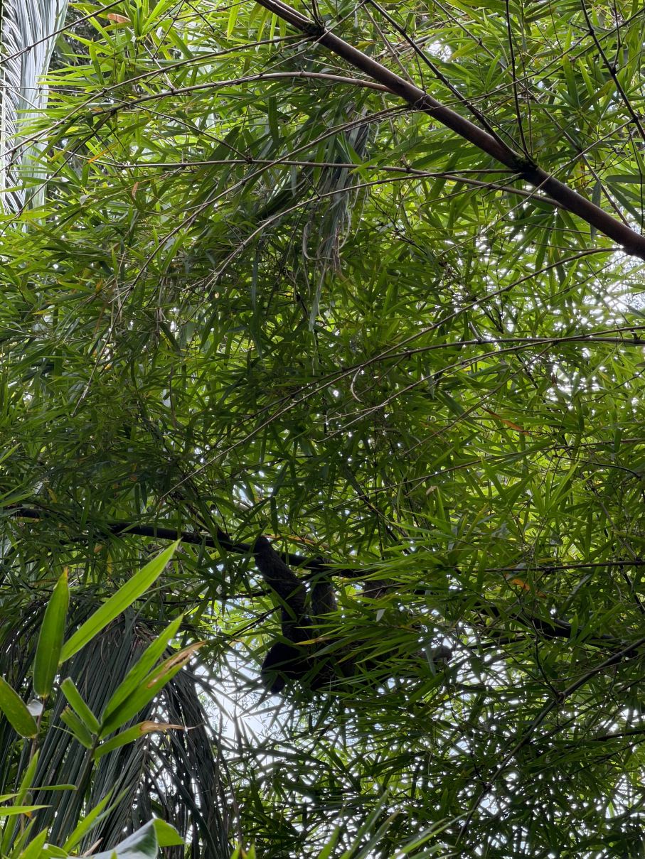 Peperpot精品酒店-旅行者