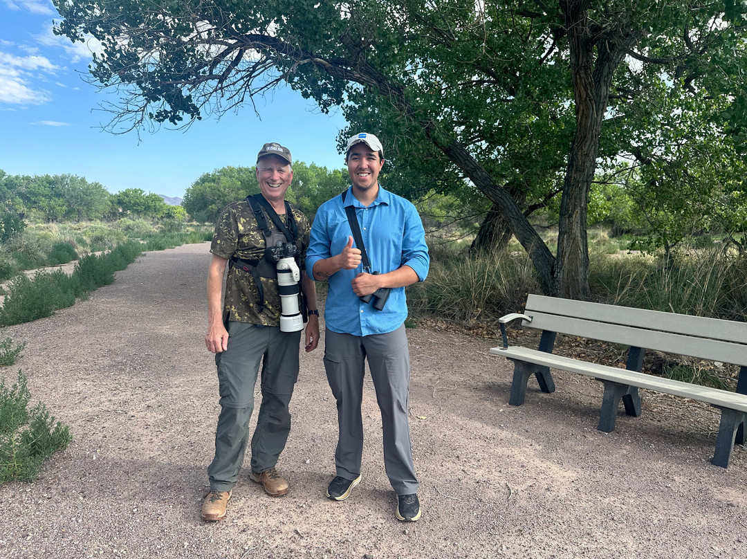 American Birding Guides