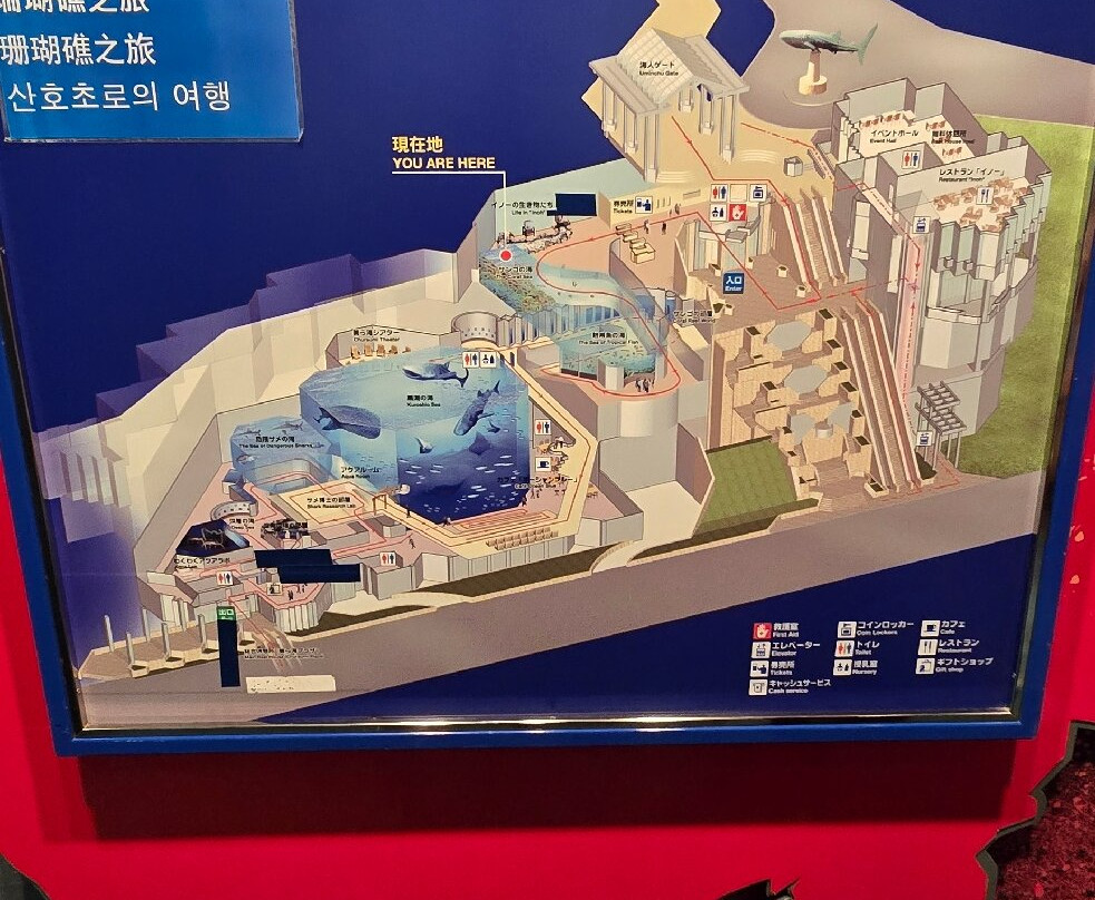 冲绳美之海水族馆-本部町必去景点