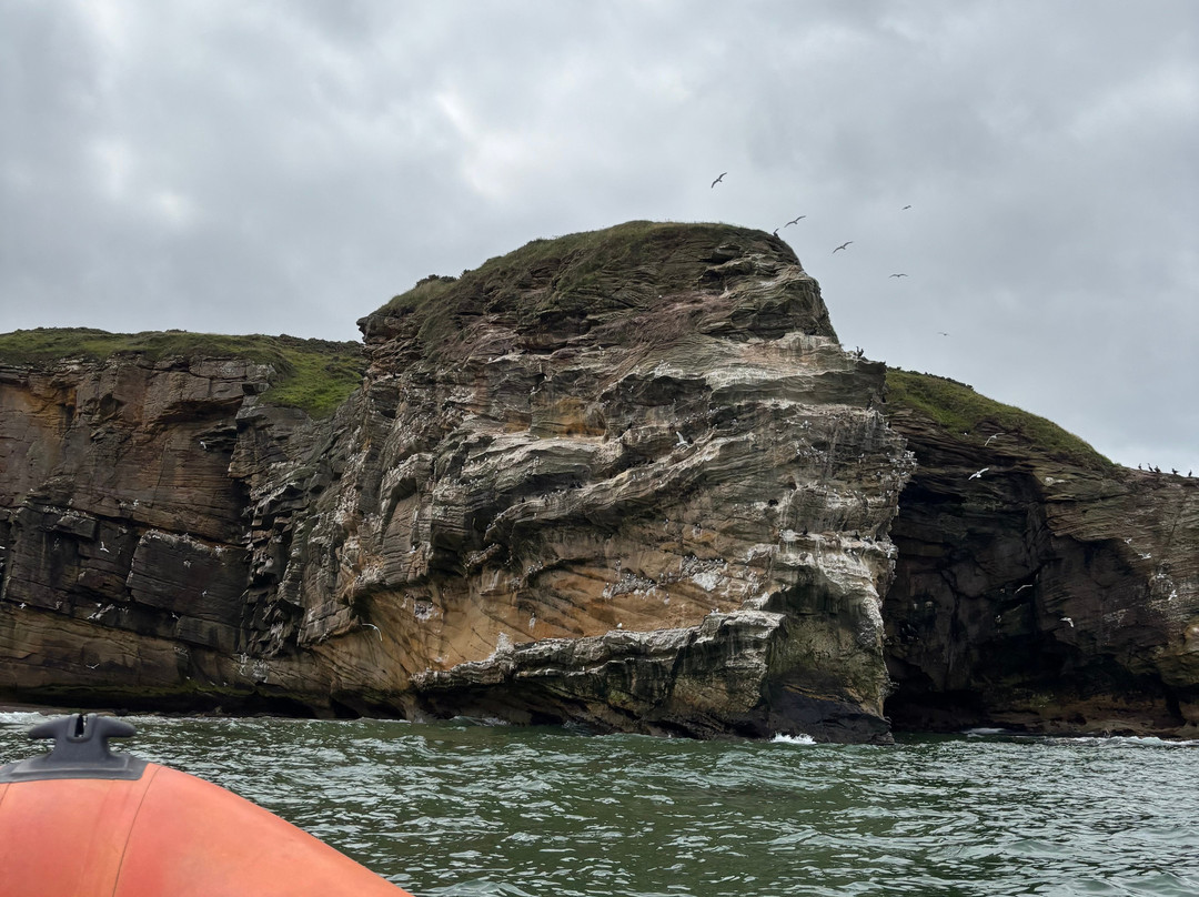 North 58 Sea Adventures-Findhorn必去景点