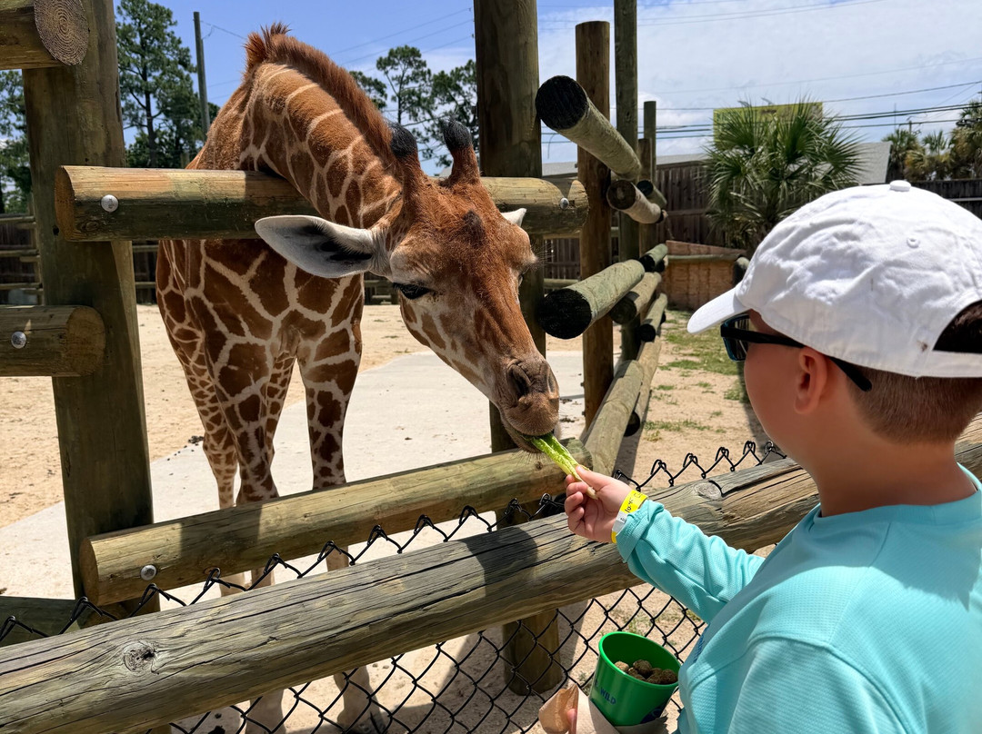 Zoo World Zoological Park-巴拿马城海滩必去景点