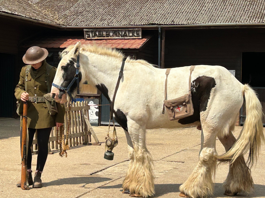 Dorset Heavy Horse Farm Park-Verwood必去景点