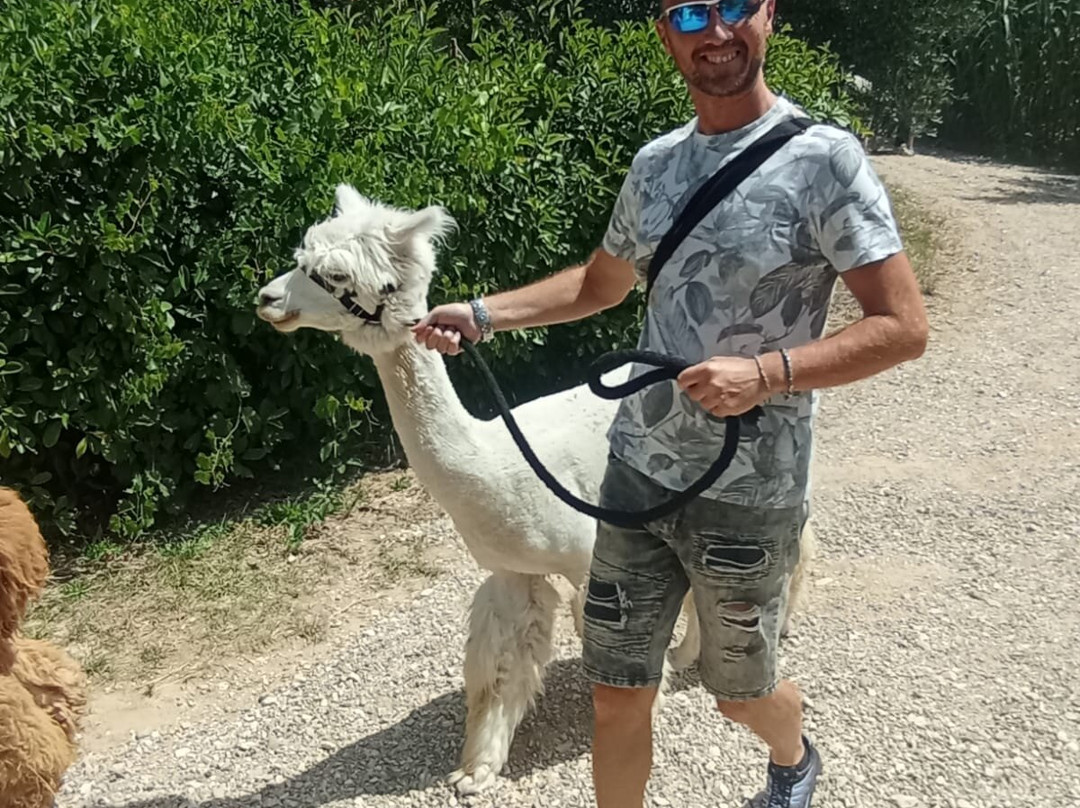 Basilicata Alpaca-Acerenza必去景点