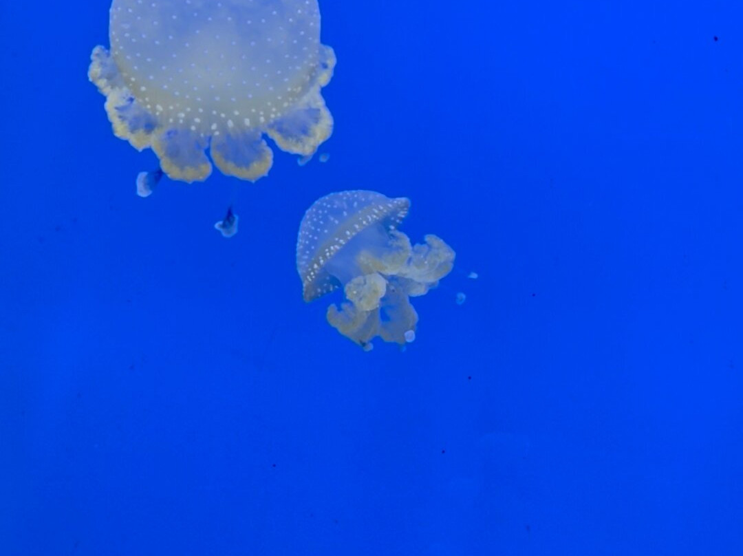 Museum of Nature South Tyrol-博尔扎诺必去景点