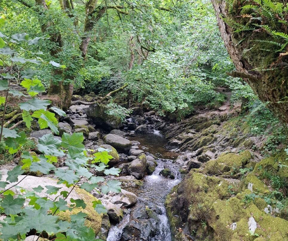 Aira Force Waterfall-彭里斯必去景点
