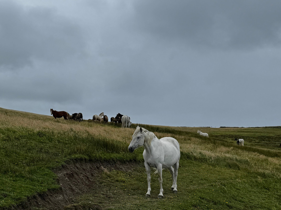 Doolin Cliff Walk-杜林必去景点
