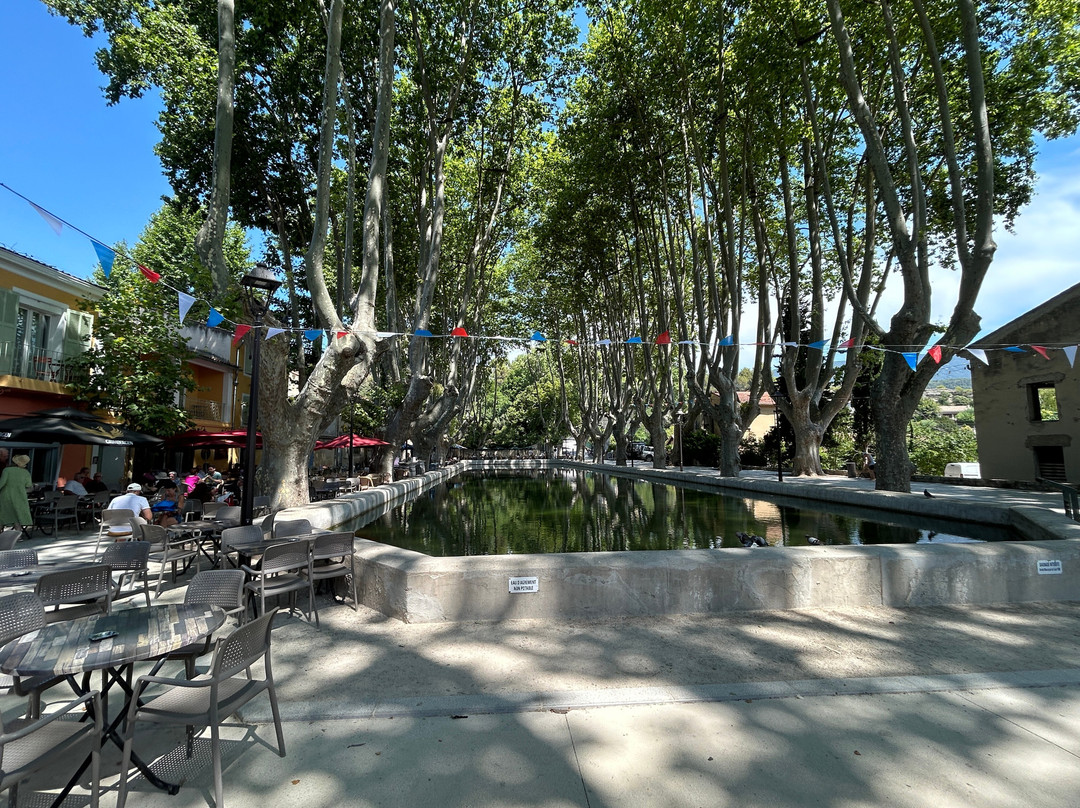 Bassin De L Étang