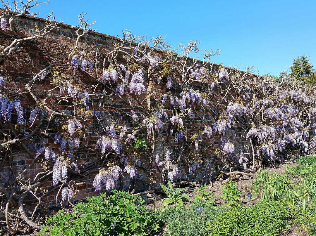 Waterperry Gardens-Wheatley必去景点