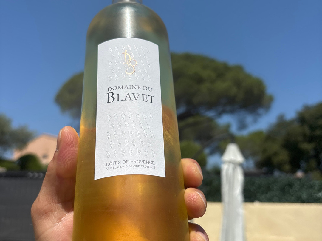 Domaine Du Blavet-阿尔冈河畔罗屈埃布吕纳必去景点