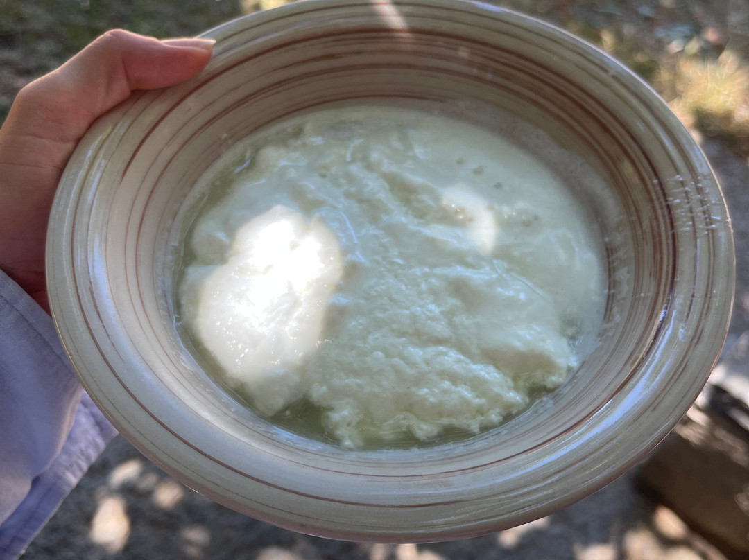 Crete: Shepherd Experience with Cheese Making & Food tasting-Anogia必去景点