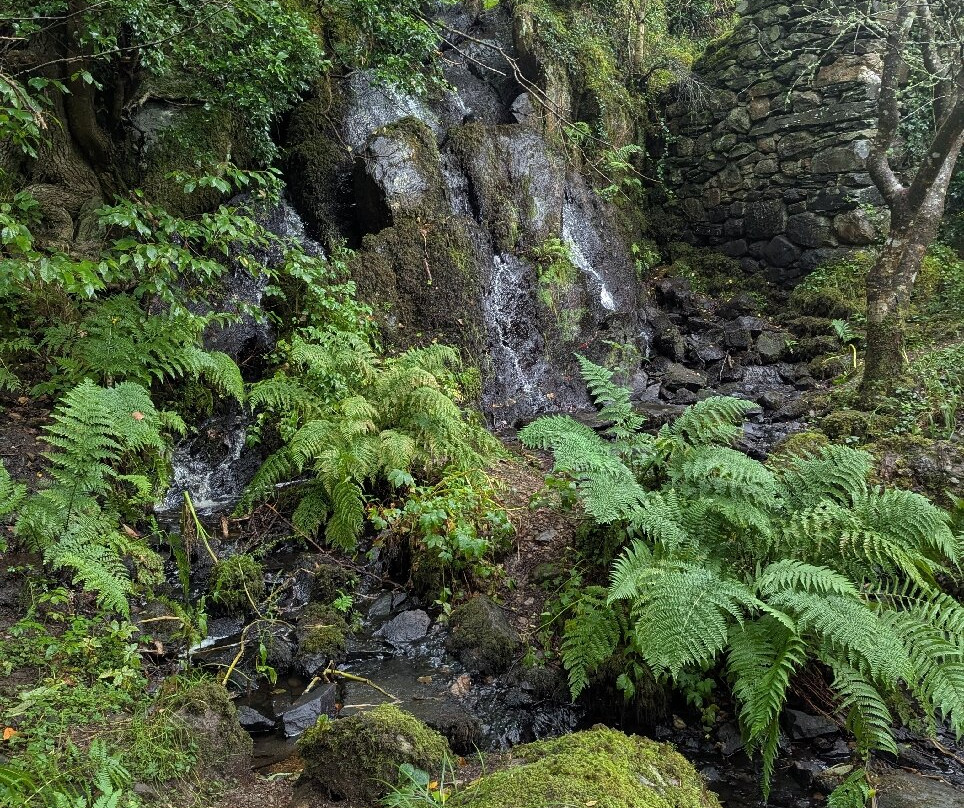 Taynish National Nature Reserve-Tayvallich必去景点