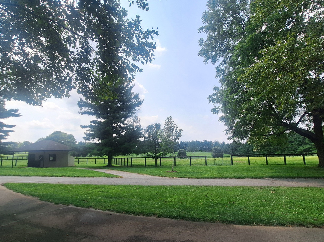 Mill Ridge Farm-列克星敦必去景点