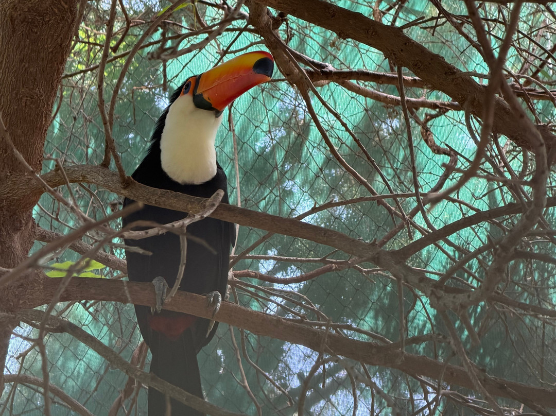 Amazonas Park-Kourounes必去景点