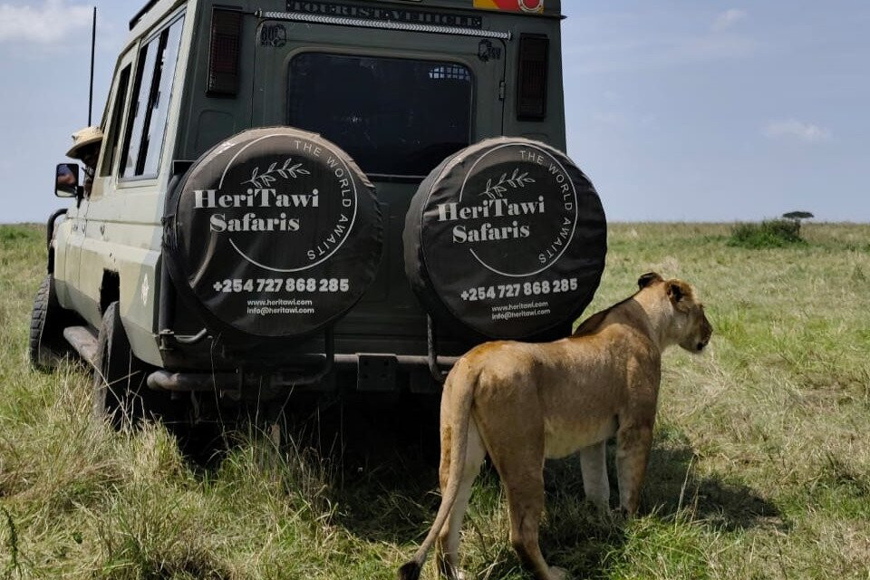 Heritawi safaris-内罗毕必去景点