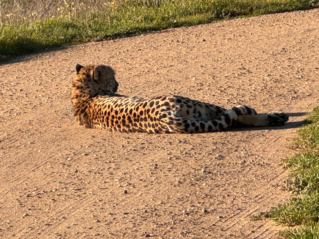 Monarto Safari Park-Monarto必去景点
