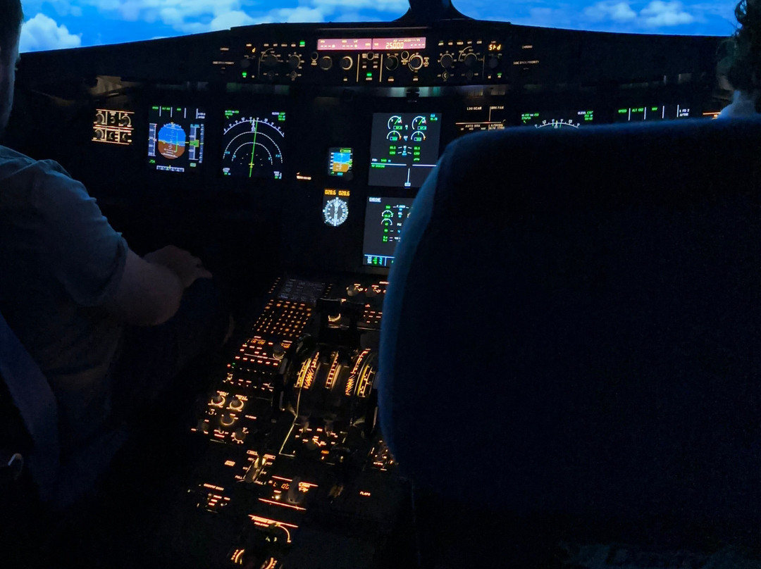 Dastyflysim - Professional Flight Simulator-Bagnatica必去景点